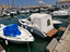 Immagine 6