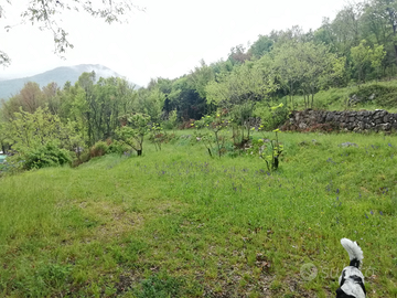 Terreno edificabile zona lago di Garda