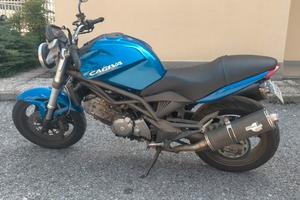 Cagiva Raptor 650 