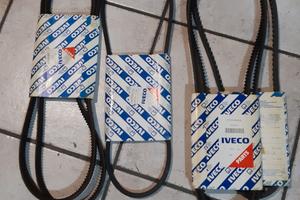 cinghie x trasmissione