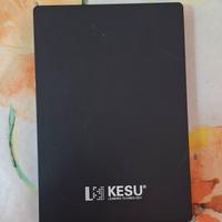 Hard disk esterno 500gb 