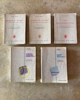 Libri vintage matematica Ferrauto per liceo