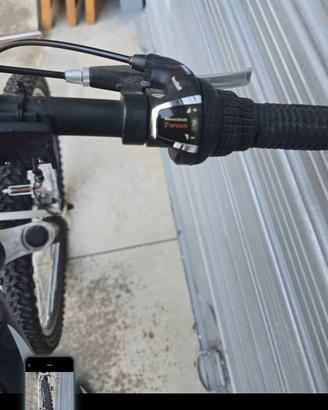 bicicletta 