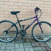 Bici 8/15 anni Giant cambio Shimano