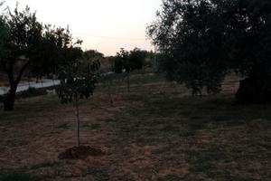 Terreno agricolo 3020 m² - Mazzarino (Zona Mulara)