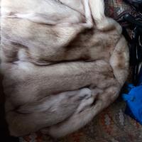Pelliccia di volpe modello L