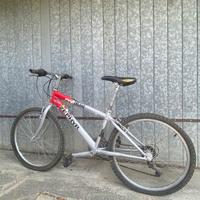 Bicicletta mountain bike