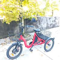 BICICLETTA TRICICLO ELETTRICA JORVIK