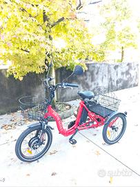 BICICLETTA TRICICLO ELETTRICA JORVIK