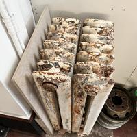 Caloriferi in ghisa vintage