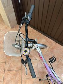 bicicletta 