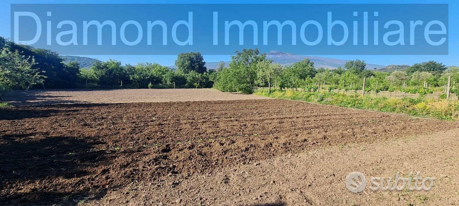 Terreno con rustico a Castiglione di Sicilia - Vista 2