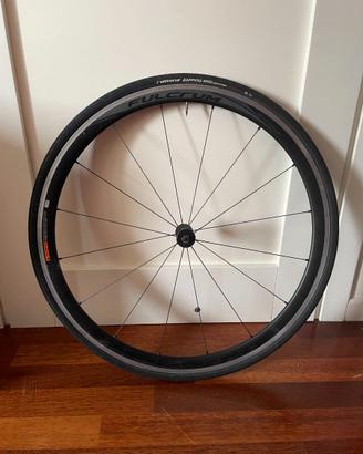 Ruota Anteriore BDC Fulcrum Racing 5 / Sport