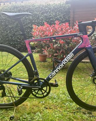 Cannondale 51 cm Super Six Evo Team Rapha