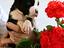 Immagine 1