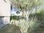 Immagine 27