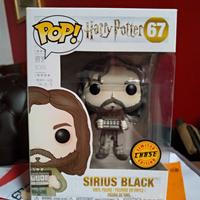 Sirius Black Chase 67 Azkaban Harry Potter Hogwart