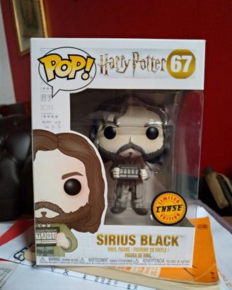 Sirius Black Chase 67 Azkaban Harry Potter Hogwart