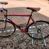 bicicletta wiler triestina