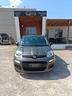 fiat-panda-1-0-firefly-s-s-hybrid