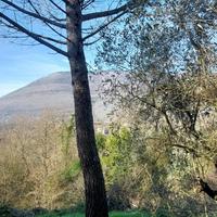 CASA INDIPENDENTE A CASTRO DEI VOLSCI