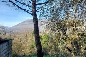 CASA INDIPENDENTE A CASTRO DEI VOLSCI