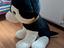 Immagine 2