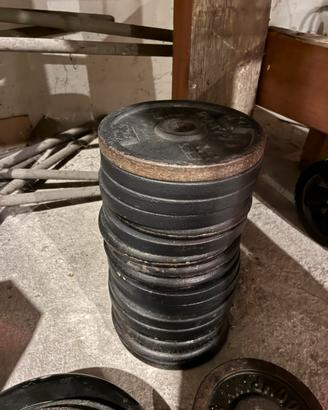 Disco dischi decathlon domyos pesi in ghisa 28 mm