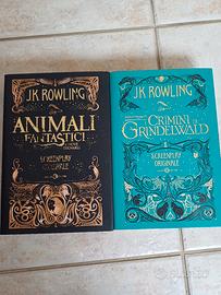 Libri Screenplay di Animali fantastici