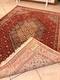 Tappeto Bidjar 170 x 225 cm