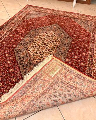 Tappeto Bidjar 170 x 225 cm