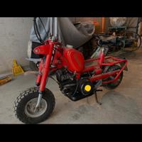 Benelli city bike con documenti