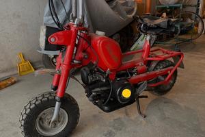 Benelli city bike con documenti