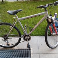 bicicletta Mtb 