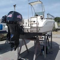 Capelli Cap 17 con Evinrude 70 cv 4t