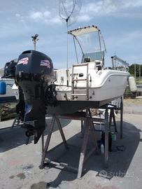 Capelli Cap 17 con Evinrude 70 cv 4t