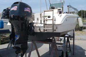 Capelli Cap 17 con Evinrude 70 cv 4t