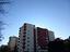 Immagine 11