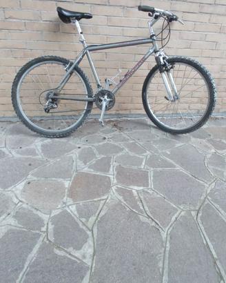 Mountain bike