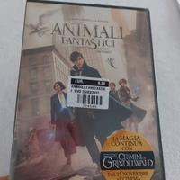 dvd animali fantastici e dove trovarli