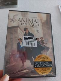 dvd animali fantastici e dove trovarli