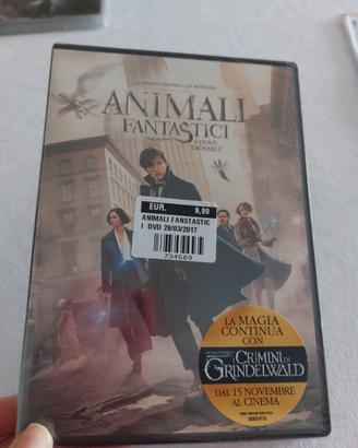 dvd animali fantastici e dove trovarli