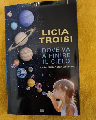 Libro "Dove va a finire il cielo" di Licia Troisi