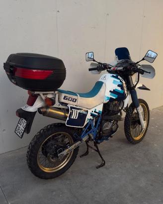 Suzuki DR 600 DJEBEL
