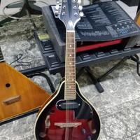 mandolino elettrico 