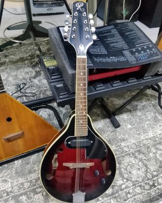 mandolino elettrico 