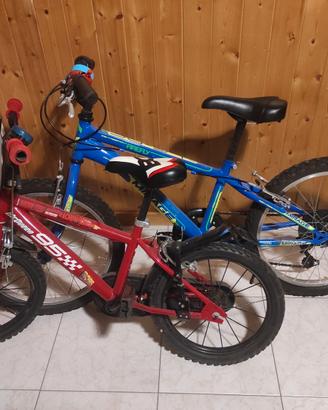 Bicicletta