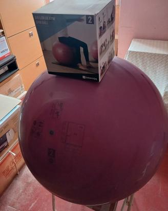 Fitbaal