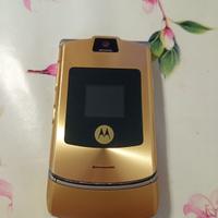 Motorola D&G