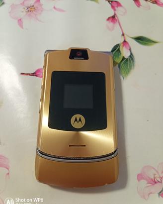 Motorola D&G